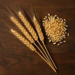 (Triticum durum) Spighe di grano duro accanto a ciotola colma di farina su tavolo in legno scuro