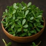 Erba Porcellana fresca con foglie carnose in ciotola di legno su fondo scuro