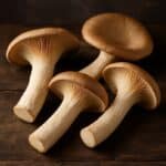 Quattro funghi Pleurotus con cappelli marroni e gambi spessi disposti su superficie rustica