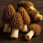 Spugnole con cappelli alveolati marroni e gambi chiari disposte su tavolo in legno