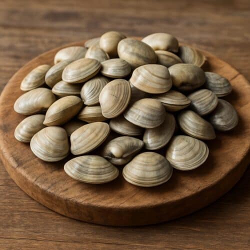 lupini-di-mare-caratteristiche-benefici-cottura-e-usi-in-cucina