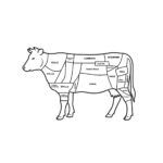 I tagli della carne di manzo illustrati ed individuati nella precisa parte dell'animale