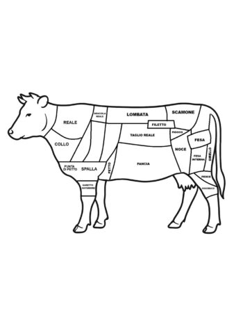 I tagli della carne di manzo illustrati ed individuati nella precisa parte dell'animale