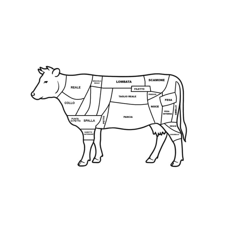 I tagli della carne di manzo illustrati ed individuati nella precisa parte dell'animale