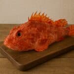 Scorfano rosso fresco su tagliere in legno rustico
